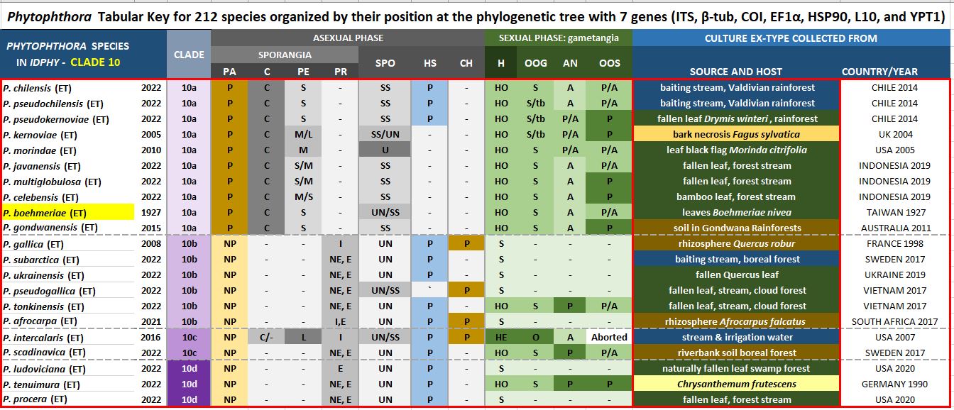   Phytophthora  spp. in subclade 10a:  Morphological Tabular key (PDF) and Tabular key legends (PDF) in IDphy2 KEY SECTION. Notice the data of  P . boehmeriae    Ex-type CBS 291.29 = Samp;T BL 32G . Gloria Abad, USDA Samp;T.

